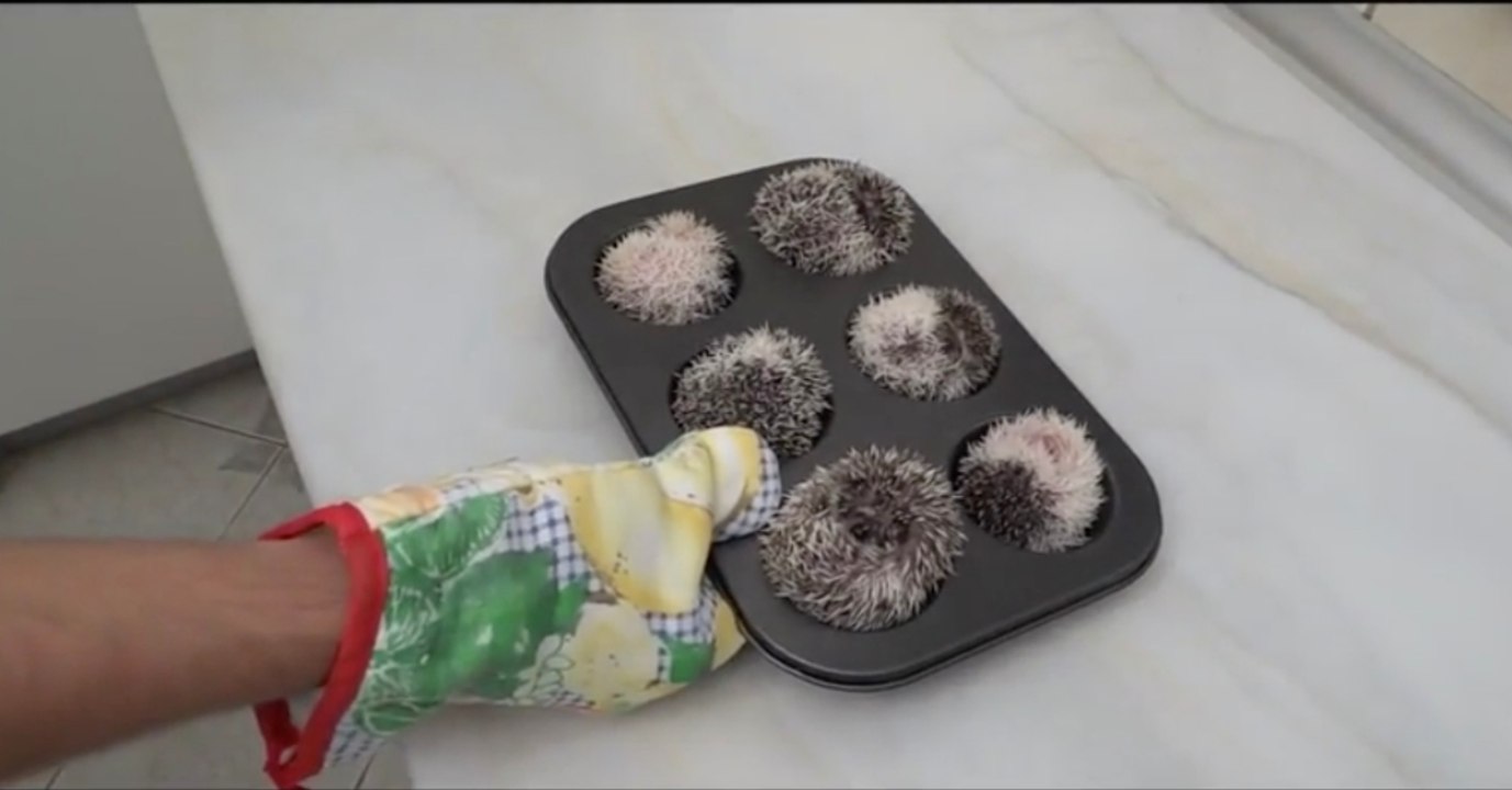 Ungewöhnliche Muffins: Statt Teig gibt er etwas ganz Anderes in den Ofen