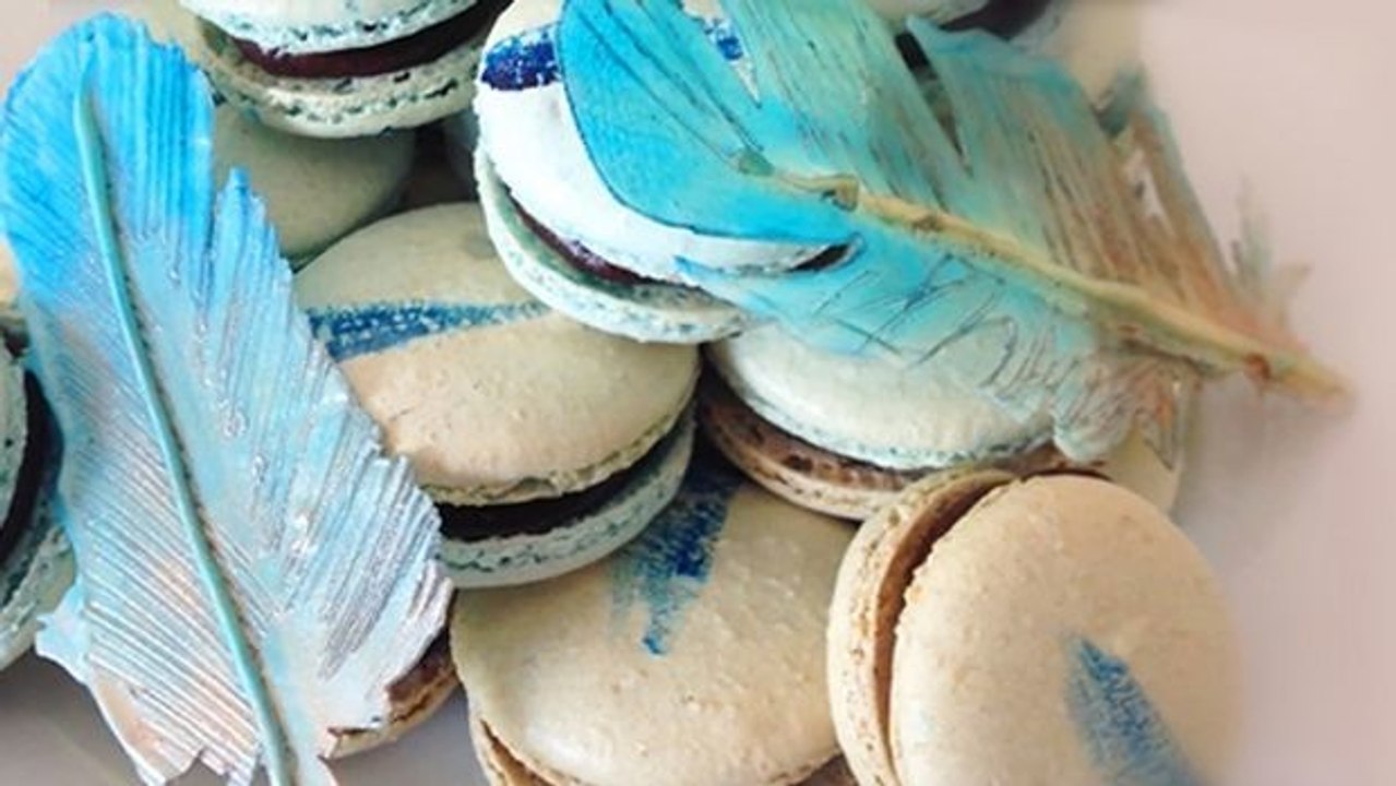 Garnieren Sie Ihren Kuchen mit diesen selbst gemachten Schokofedern! Der ganz besondere anspruchsvolle Look.