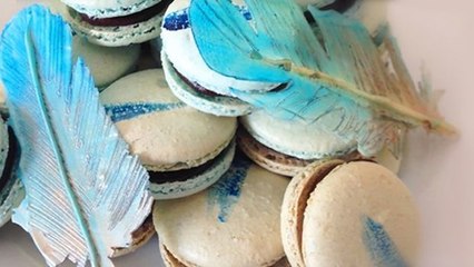 Garnieren Sie Ihren Kuchen mit diesen selbst gemachten Schokofedern! Der ganz besondere anspruchsvolle Look.