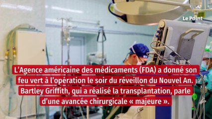 Etats Unis : un coeur de porc greffé avec succès sur un homme de 57 ans