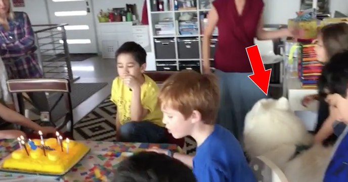 Sie singen ihm zum Geburtstag ein Ständchen. Die Reaktion des Hundes ist wirklich einmalig!