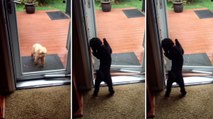 Dieser Hund öffnet Türen wie ein Mensch
