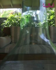 مشاهيرُ العالمِ الذين يملكونَ مكانًا في دبيٍّ