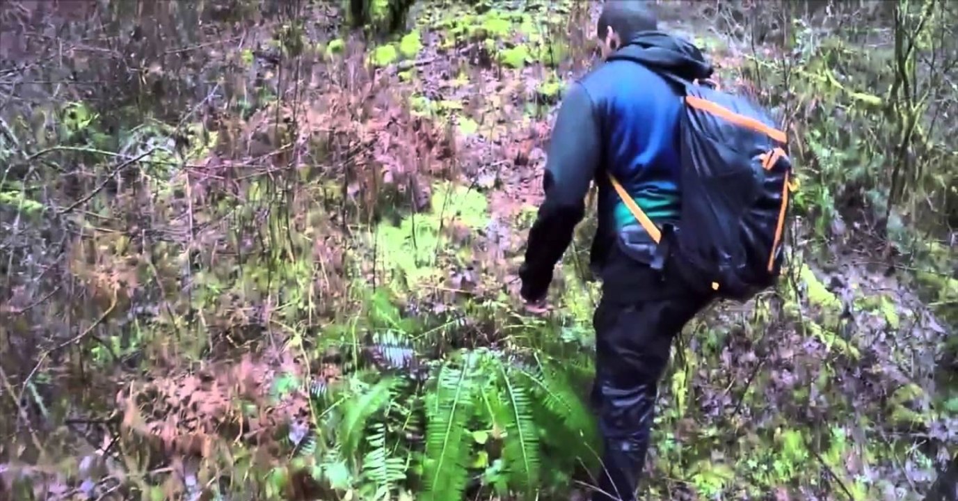 Fund aus der DDR: Doch wie konnte er ans andere Ende der Welt gelangen?