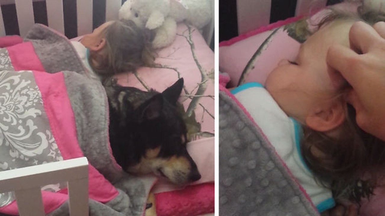 Ein kleines Mädchen und ihr Hund machen ein gemeinsames Mittagsschläfchen