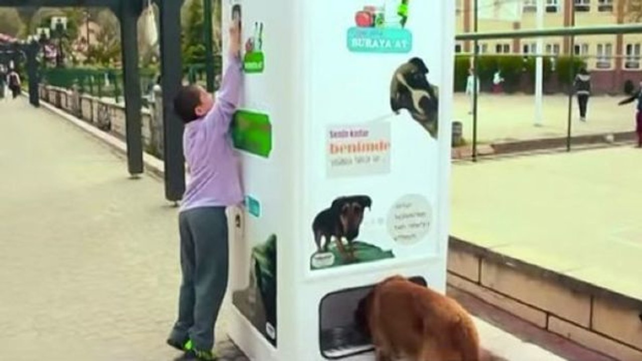 Dieser Automat bietet Futter für streunende Hunde gegen Plastikflaschen an