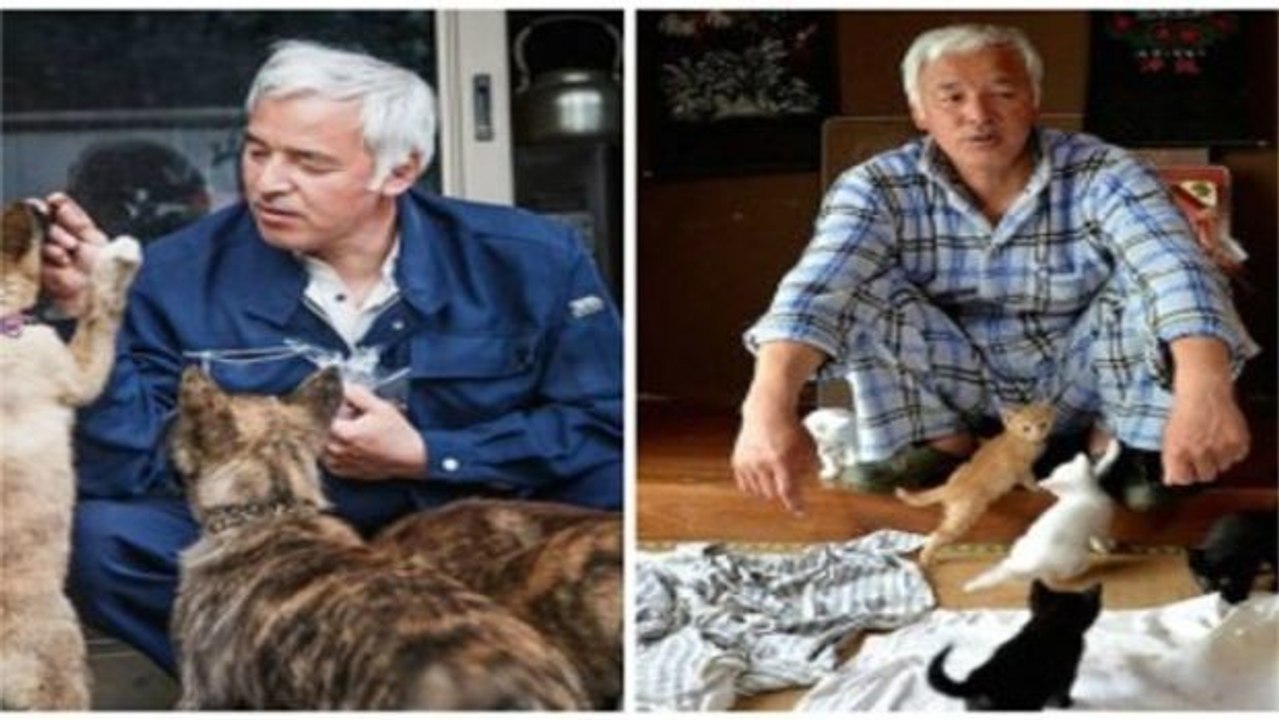 Der letzte Bewohner von Fukushima bleibt trotz Strahlungsgefahr, um sich um die Tiere zu kümmern