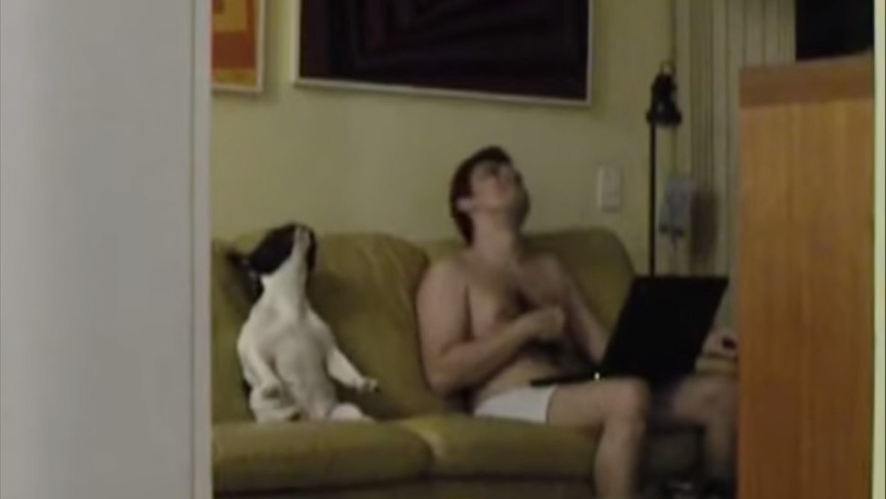 Ein Hund und sein Herrchen tanzen zu Rap-Musik. Und sie haben auf jeden Fall den Grove!