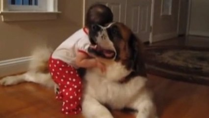 Ein kleines Mädchen und der Hund seiner Großeltern sind hier ein Herz und eine Seele