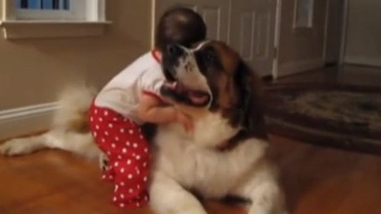 Ein kleines Mädchen und der Hund seiner Großeltern sind hier ein Herz und eine Seele