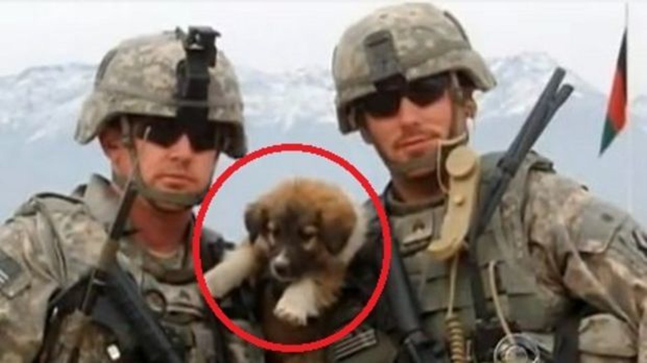 In Afghanistan macht dieser Soldat eine wunderbare Begegnung. Eine schöne Geschichte!