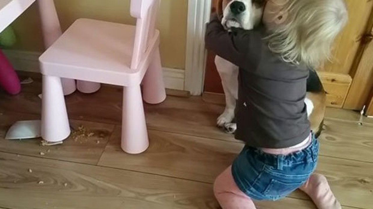 Dieses kleine Mädchen tröstet einen Hund, obwohl er gerade eine Schale zerbrochen hat