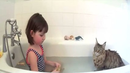 Das Mädchen spricht mit niemandem, doch dann kommt diese Katze in ihr Leben