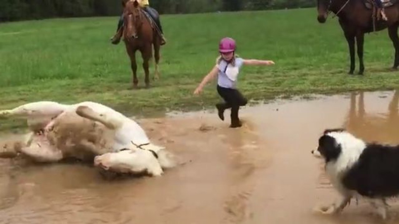 Dieses Poney  beschließt ganz plötzlich, ein Bad zu nehmen. Eine nasse Überraschung für seine kleine Reiterin!