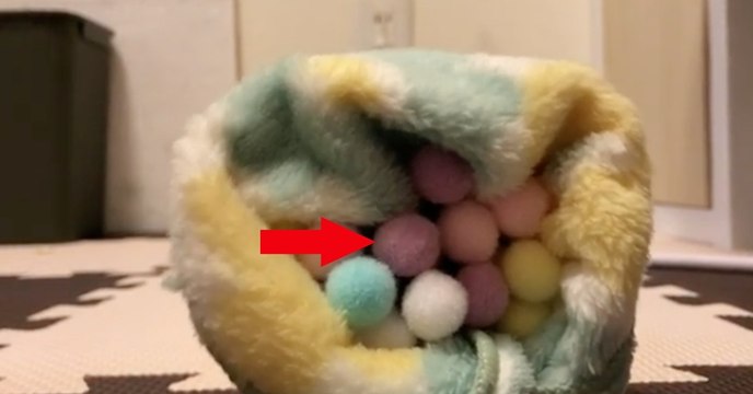 Was sich gleich aus dieser Höhle schleichen wird, wird euch zum Schmunzeln bringen!