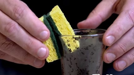 So reinigst Du eine Vase mit engem Hals