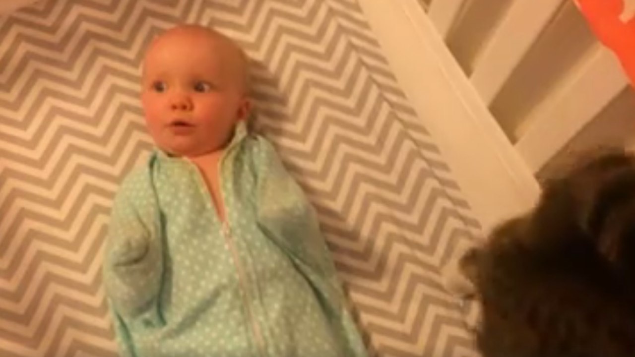 Dieses Baby ist fasziniert von dem dicken Pelzknäuel... Es will die Katze immer wieder sehen!