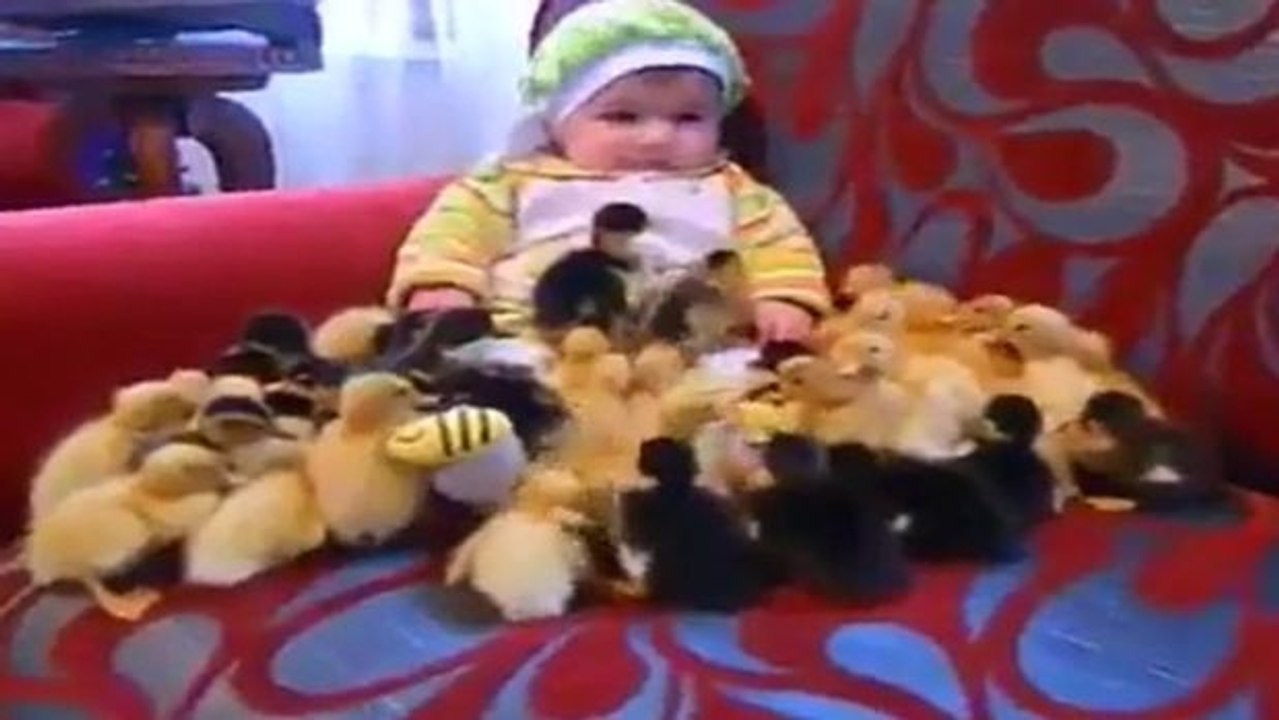 Ein Baby und eine Schar kleiner Entchen
