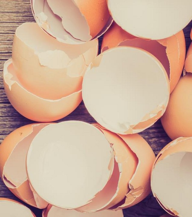 Sei es im Badezimmer, in der Küche oder im Garten: Was man mit Eierschalen so alles machen kann!