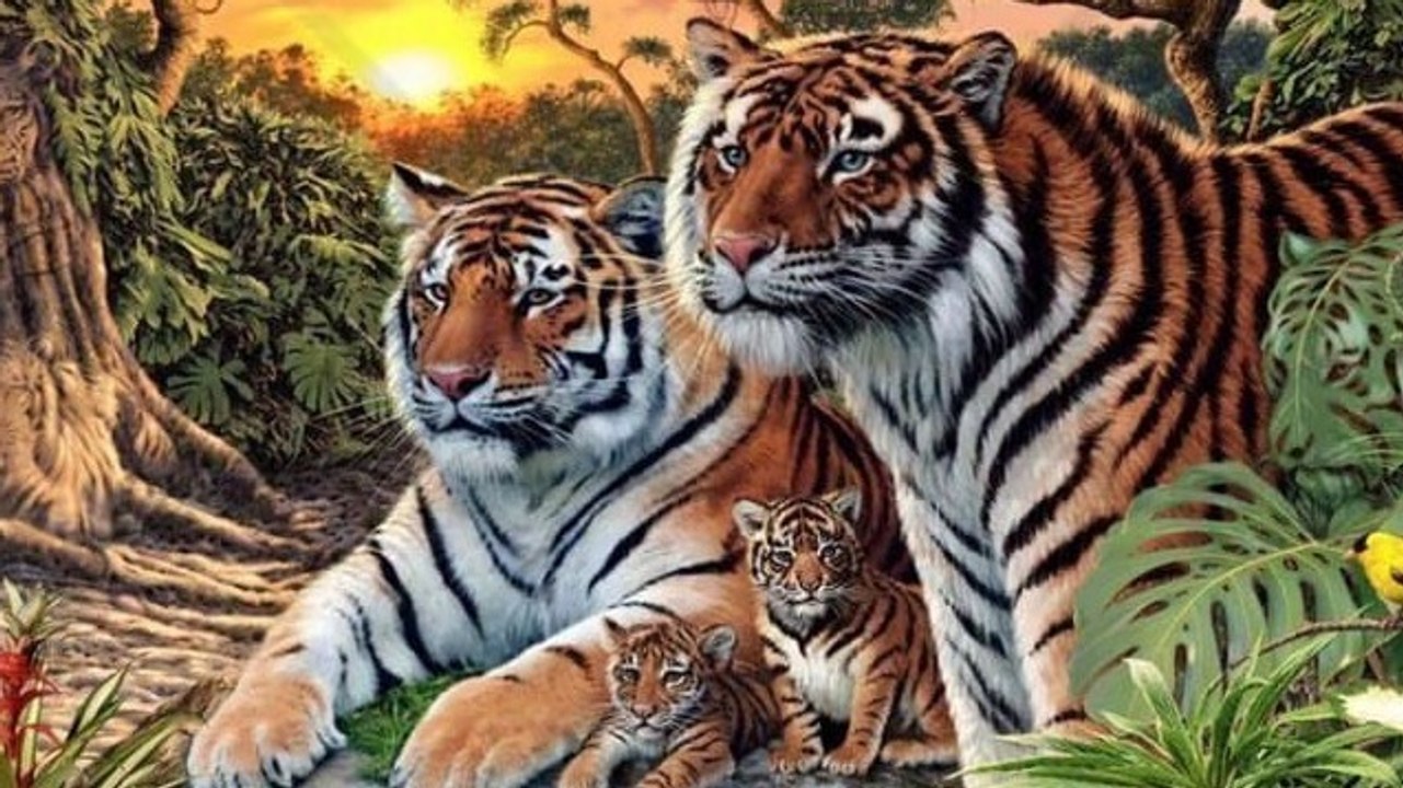 Rätsel: Auf dem Bild sind mehr als vier Tiger versteckt!