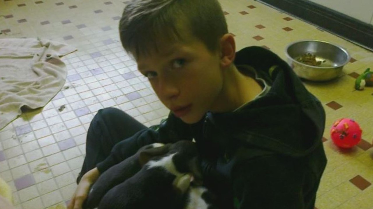 Eine Frau wirft lebende Welpen in den Fluss... und dieser Junge springt ins eisige Wasser, um sie zu retten