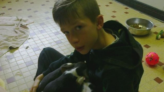 Eine Frau wirft lebende Welpen in den Fluss... und dieser Junge springt ins eisige Wasser, um sie zu retten