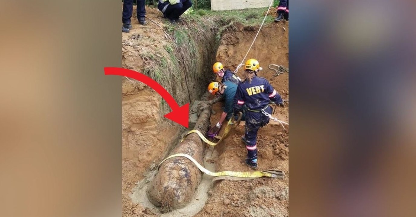 Sie retten ein Pferd, das in einem schlammigen Graben feststeckt!