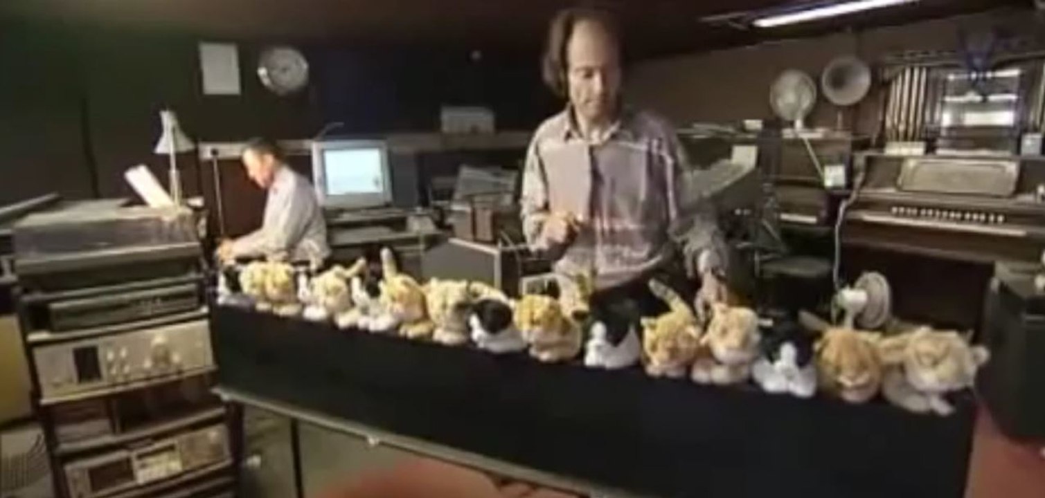 Dieser Mann begleitet den Pianisten mit Hilfe von 16 Quietschekatzen