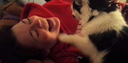 Descargar video: Diese Katze reagiert, wenn ihre Besitzerin falsch singt... Und versucht alles, sie daran zu hindern!