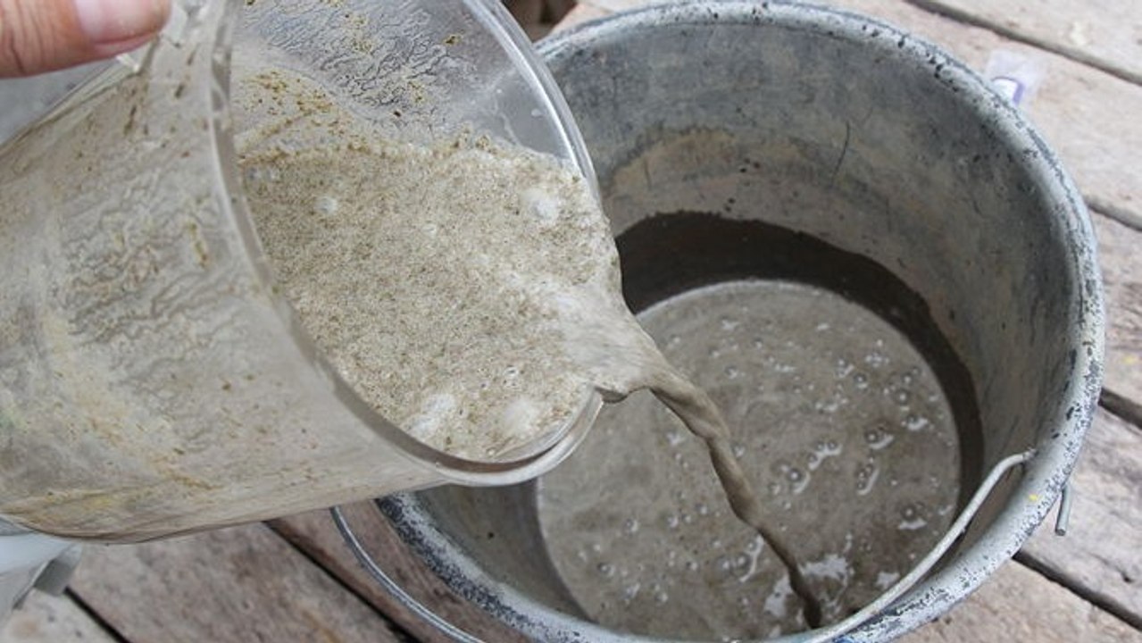 Moos-Graffiti: Eine total verrückte Kunst!