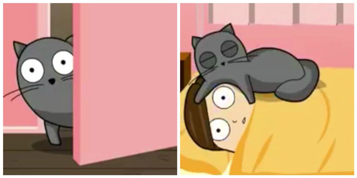 Das haben wir nachts wegen unserer Katze alle schon erlebt!