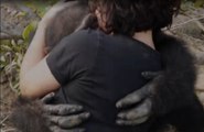 Wiedersehen einer Frau mit zwei Schimpansen, denen sie vor 18 Jahren das Leben gerettet hat