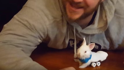 Ein Mann schenkt einem behinderten Kaninchen kleine Räder