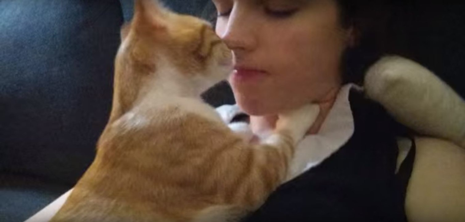 Die bewegende Liebeserklärung einer Katze an ihr Frauchen