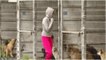 Sie adoptiert 250 Hunde eines Tierheims, um sie vor Misshandlung zu schützen