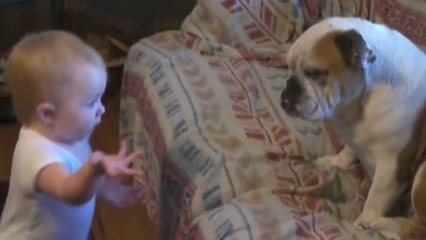 Dieses Baby ist gar nicht zufrieden mit dem Verhalten seines Hundes. Und es scheut sich nicht, ihm das auch mitzuteilen
