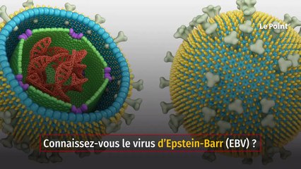 L’origine de la sclérose en plaques découverte ?