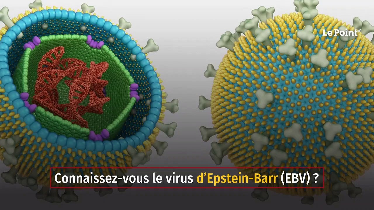 L’origine de la sclérose en plaques découverte ?