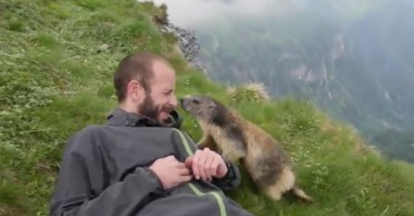 Und täglich grüßt das Murmeltier!