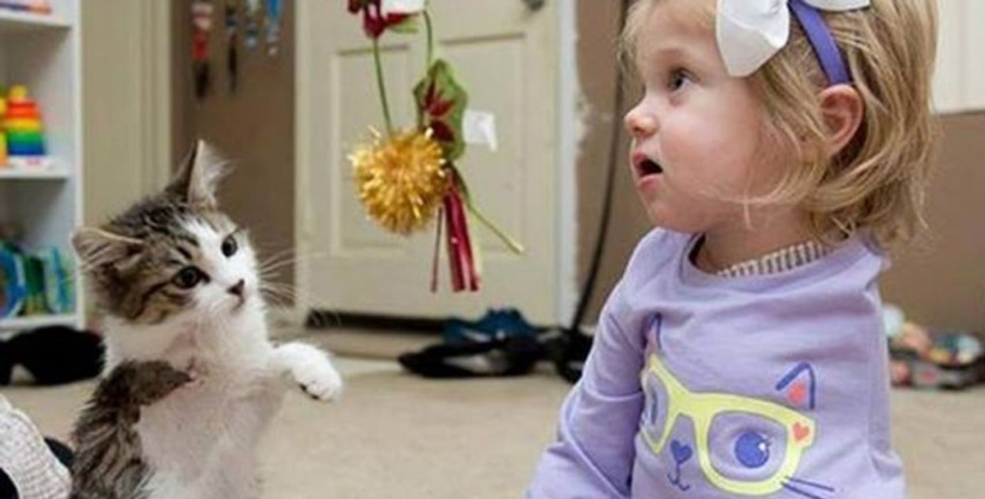 Dieses kleine Mädchen und ihr Kätzchen teilen eine berührende Besonderheit, die euch Tränen in die Augen treiben wird