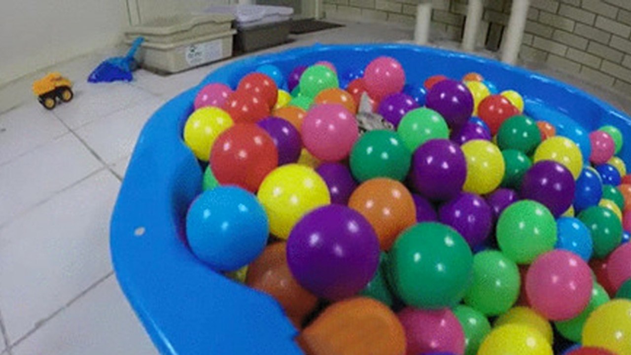 Unerwarteter Gast im Bällebad! Was für eine grandiose Reaktion!