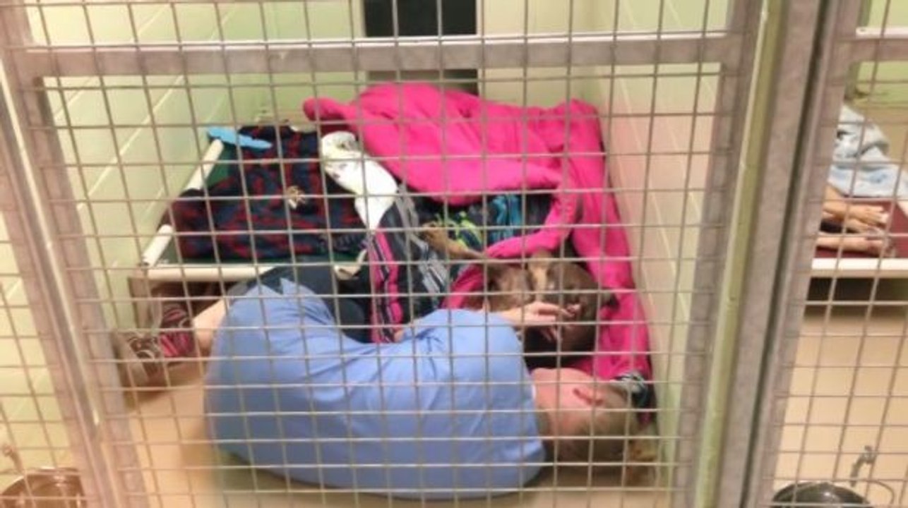 Sie findet eine Helferin in einem Käfig liegend und beginnt zu weinen