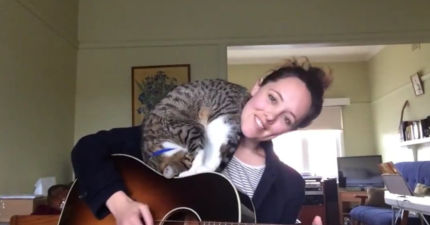Ein musikalischer Kater: Wenn seine Besitzerin singt und Gitarre spielt, hat dieser Kater einmalige Reaktionen