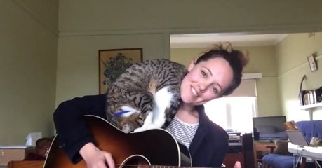 Ein musikalischer Kater: Wenn seine Besitzerin singt und Gitarre spielt, hat dieser Kater einmalige Reaktionen