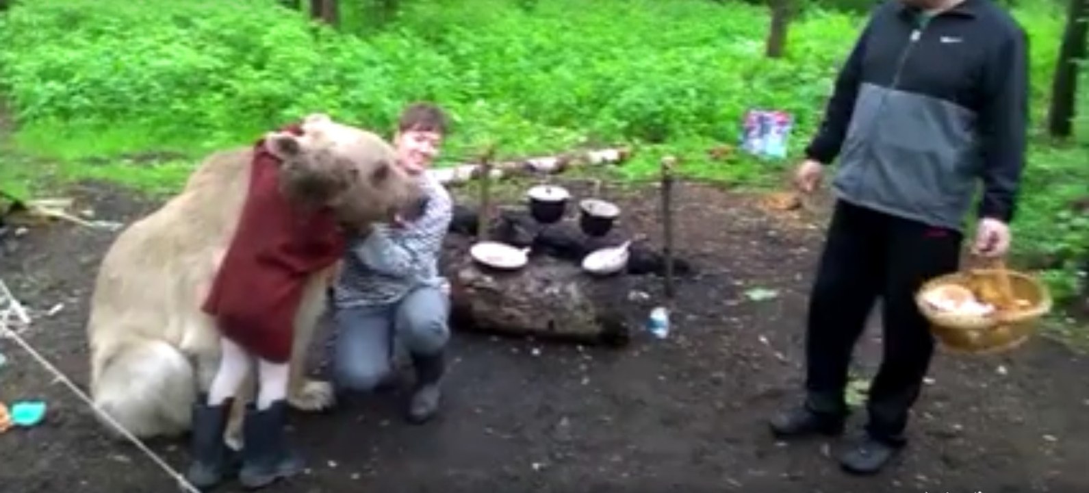 In Russland darf Bär Stephan mit seiner Familie zum Picknick mit in den Wald