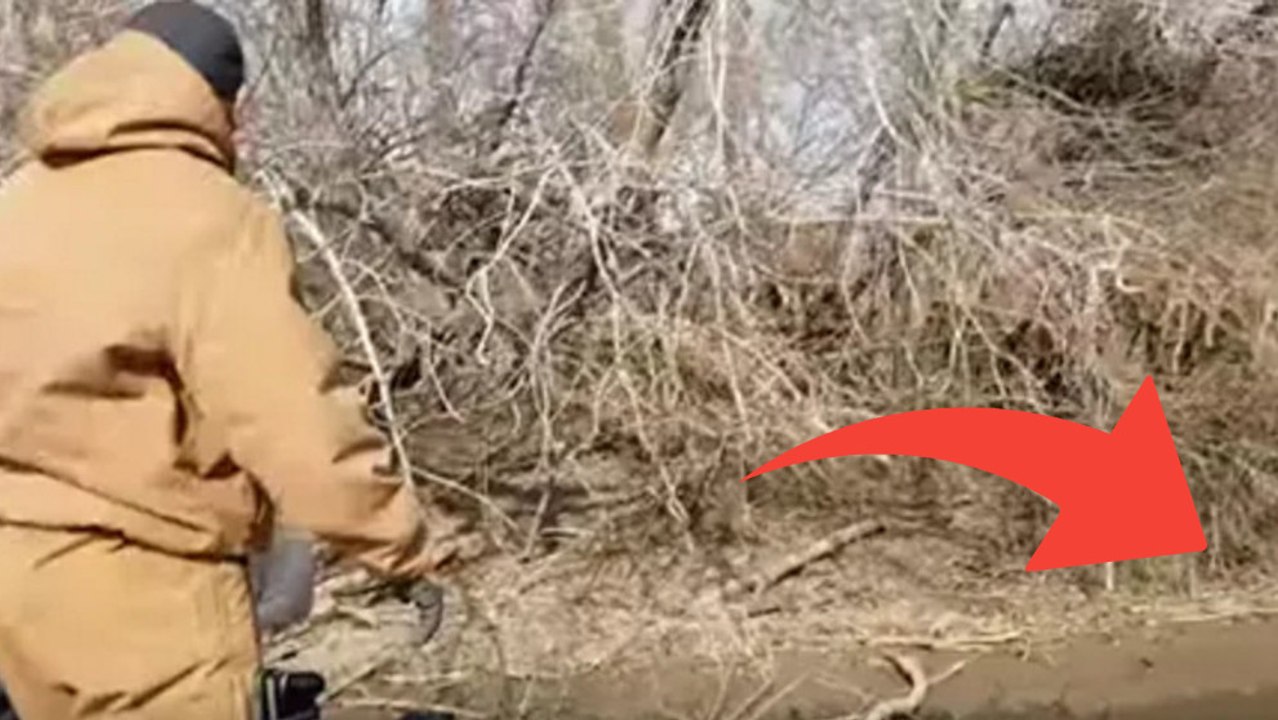 Dieser Angler hört sonderbare Geräusche im Gebüsch. Schau was passiert, wenn er pfeift!