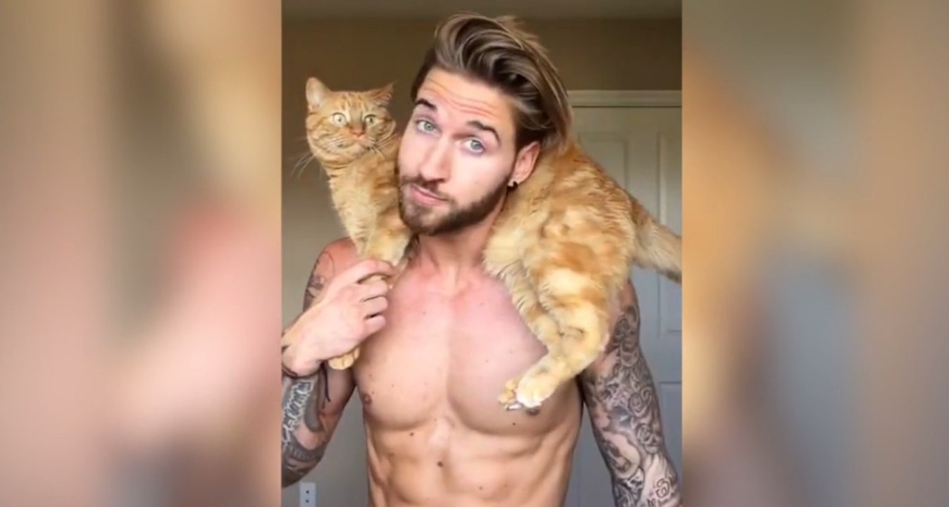 Model legt Trainingseinheit mit Katze ein