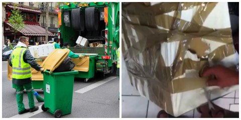 In Marseille fanden Müllmänner drei Kätzchen im Müll verpackt