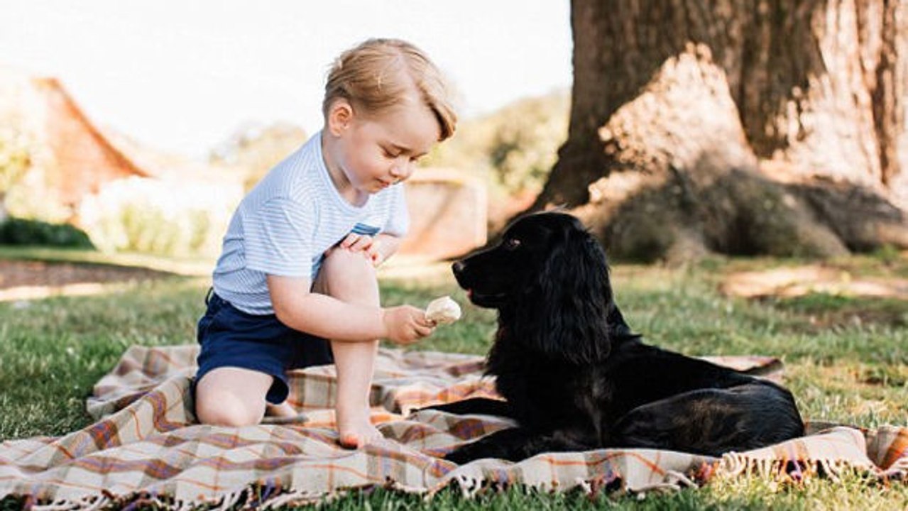Kate middleton und le prinz william: ein foto von prinz george und seinem hund lupo erregt wellen