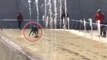 Dieser Hund weiß Badespass zu schätzen... Er amüsiert sich wie toll in den Wasserfontänen eines New Yorker Springbrunnens
